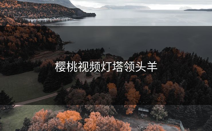 樱桃视频灯塔领头羊